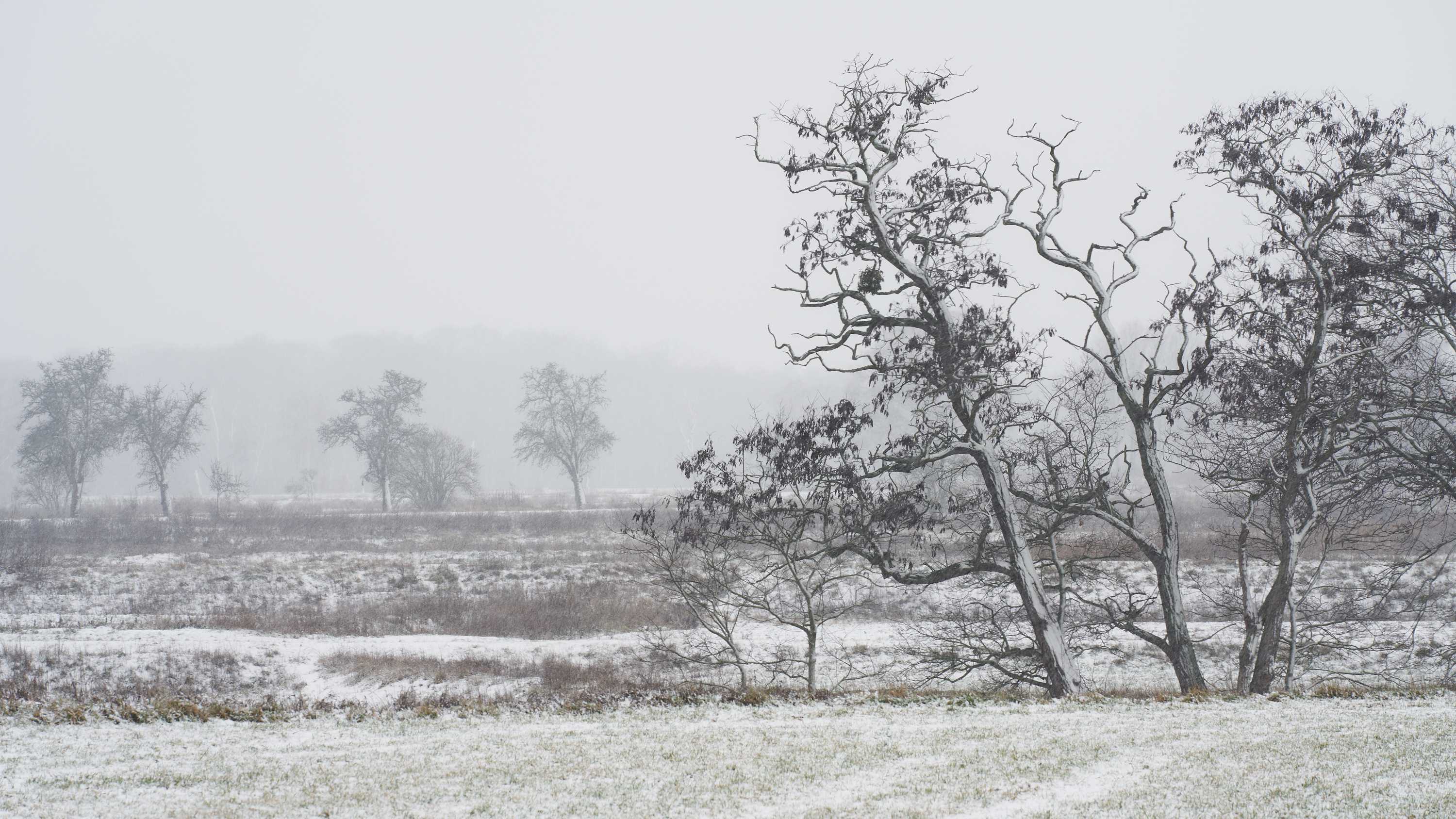 3000HQ-LANDSCAPE-Snow-0003-portfolio-landscape