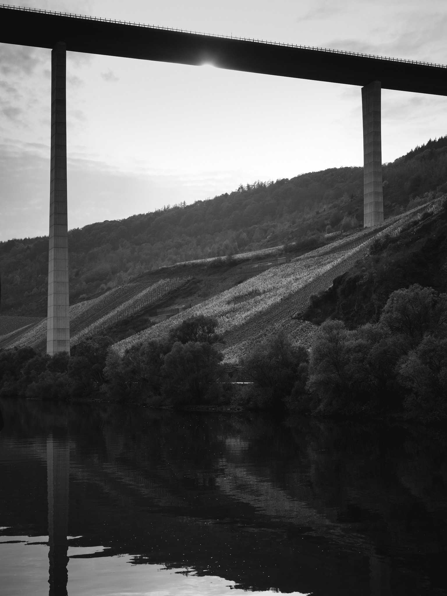 2022-10-29 15.52.12_Germany - Mosel_0004