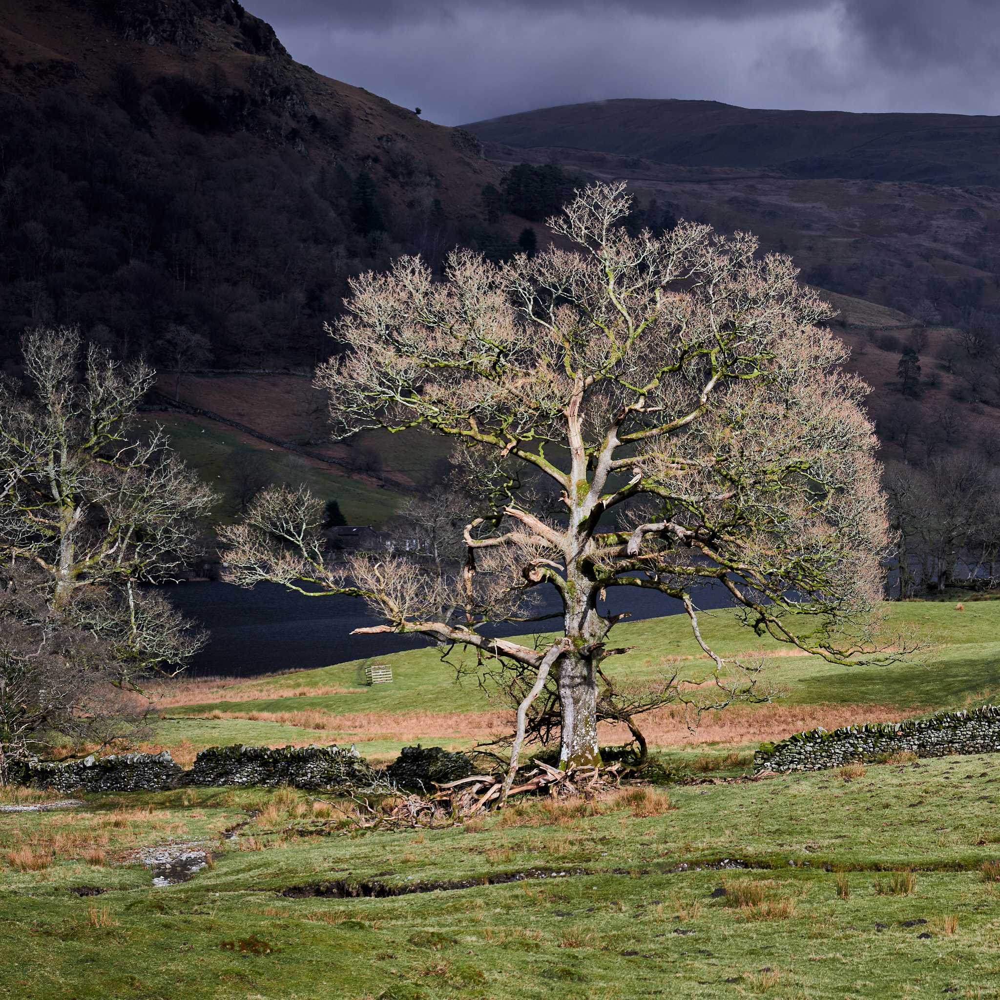 2022-03-17-16-14-28_Lake-District_web