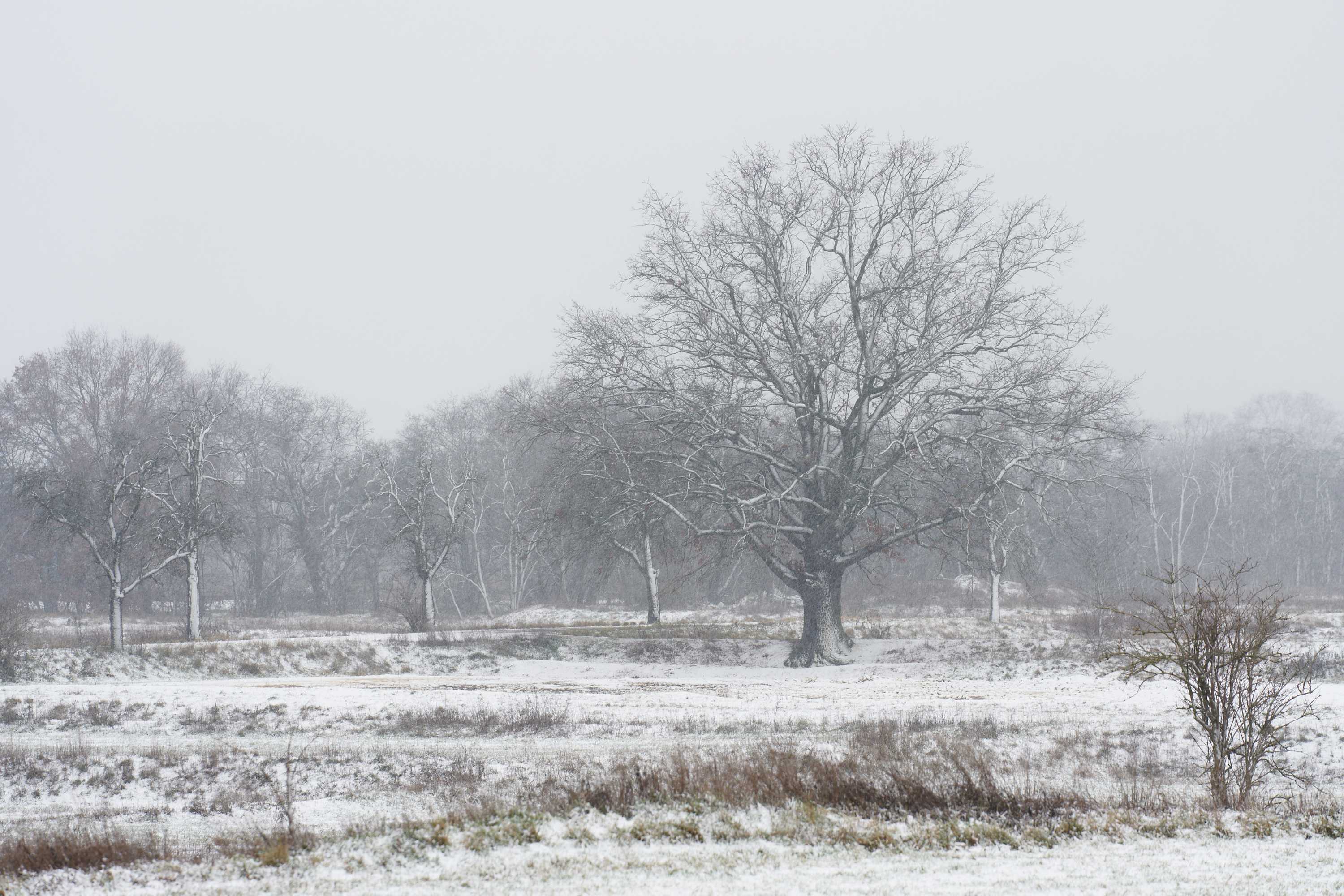 3000HQ-LANDSCAPE-Snow-0007-portfolio-landscape