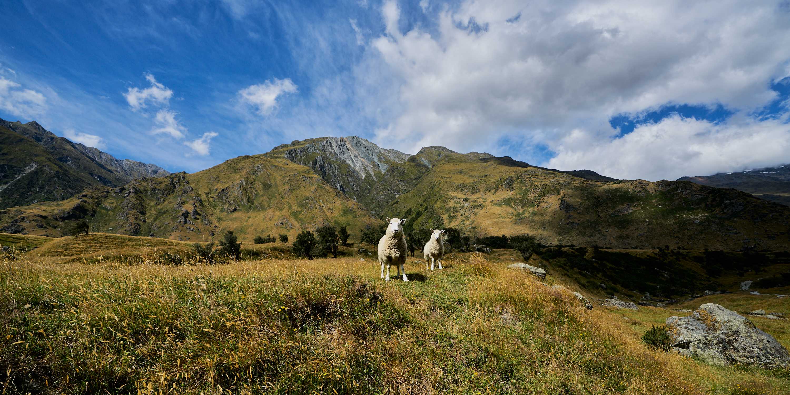 3000FQ-New-Zealand-2017-2018-0020