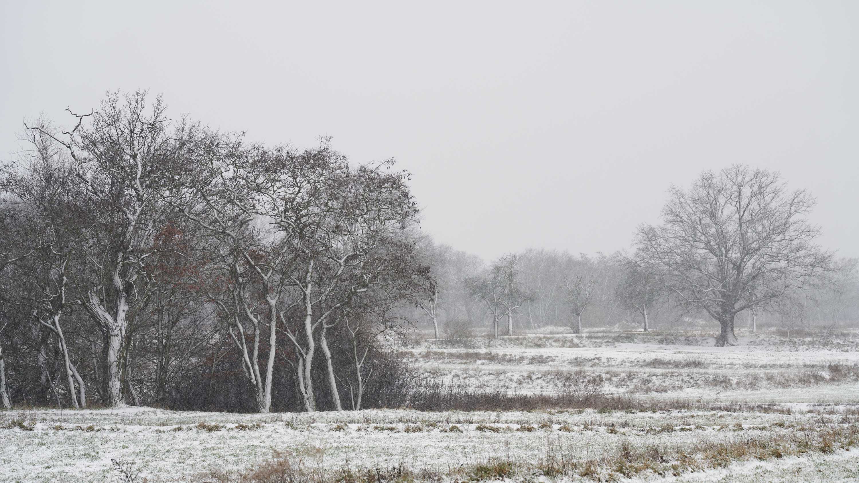 3000HQ-LANDSCAPE-Snow-0002